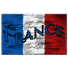 FRANCE Logo dirty flocked