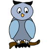 I like owls