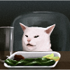 same cat