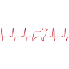 EKG Aussie