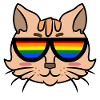 Cool Cat Lgbt Lesbian Equality Homo