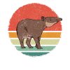 Tapir Tapirus Animal Tapirs
