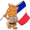 Frankreich Fan Katze