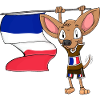French Chihuahua