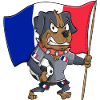 France Fan Dog