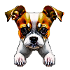 Petit chiot mignon