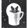Dog in Cup