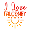 I love falconry