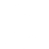 Because reasons question mark