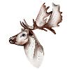 Hirsch