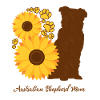 Mère Tournesol - Berger australien