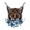 Lynx