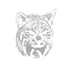 Lynx devil