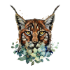 Lynx