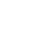 Rat souris souris rat