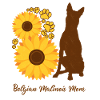 Sonnenblumenmutter - Belgischer Malinois