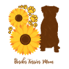 Mère tournesol - Border Terrier