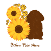 Sonnenblumenmutter - Bichon Frise