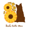 Mère tournesol - Border Collie