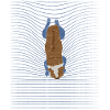 French Bulldog Swimming Dog