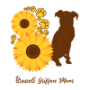 Sunflower Mother - Brussels Griffon