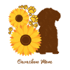Sunflower Mother - Cavachon