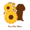 Sonnenblumenmutter - Kavalier