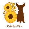Mère Tournesol - Chihuahua