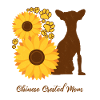 Sunflower Mother - Chinese Crested Dog