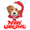 Merry Christmas with dog