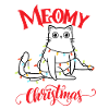 Meomy Christmas 1