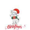 Meomy Christmas cat