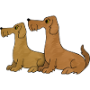 Chiens