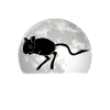 Gerbil Moon Racing Rat Gerbil