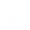 Biology Biologist Cells Molecular Biologist