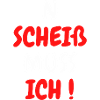 N SCHEIß MUSS ICH