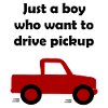 Chauffeur de camionnette
