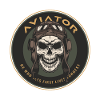 Aviator skull