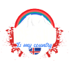Cadeau de cheval d’Islande