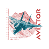 Aviator F-14 Tomcat