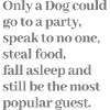 Funny dog quote