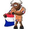 France Fan Taureau