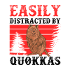 Distracted by Quokka's marsupial Quokka