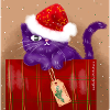 Christmas Cat