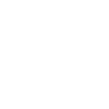 Cybersecurity Expert