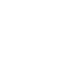 Discgolf, Discgolf US -Flagge