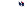 Orca Pixélisé Noël - Drôle