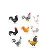 Poulets du monde