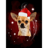 Santa Dog