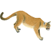 Berglöwe